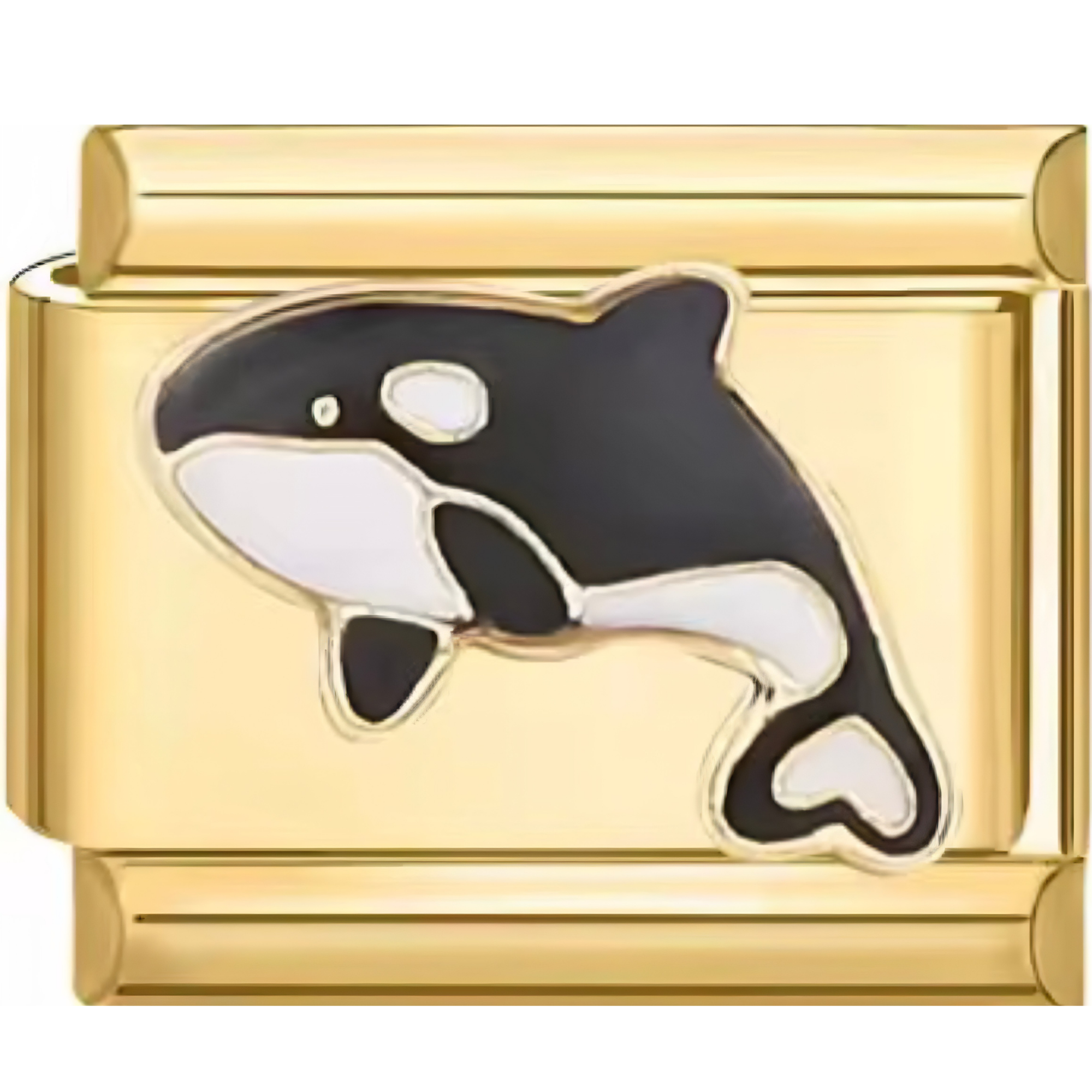Killer Whale Charm