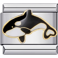 Killer Whale Charm