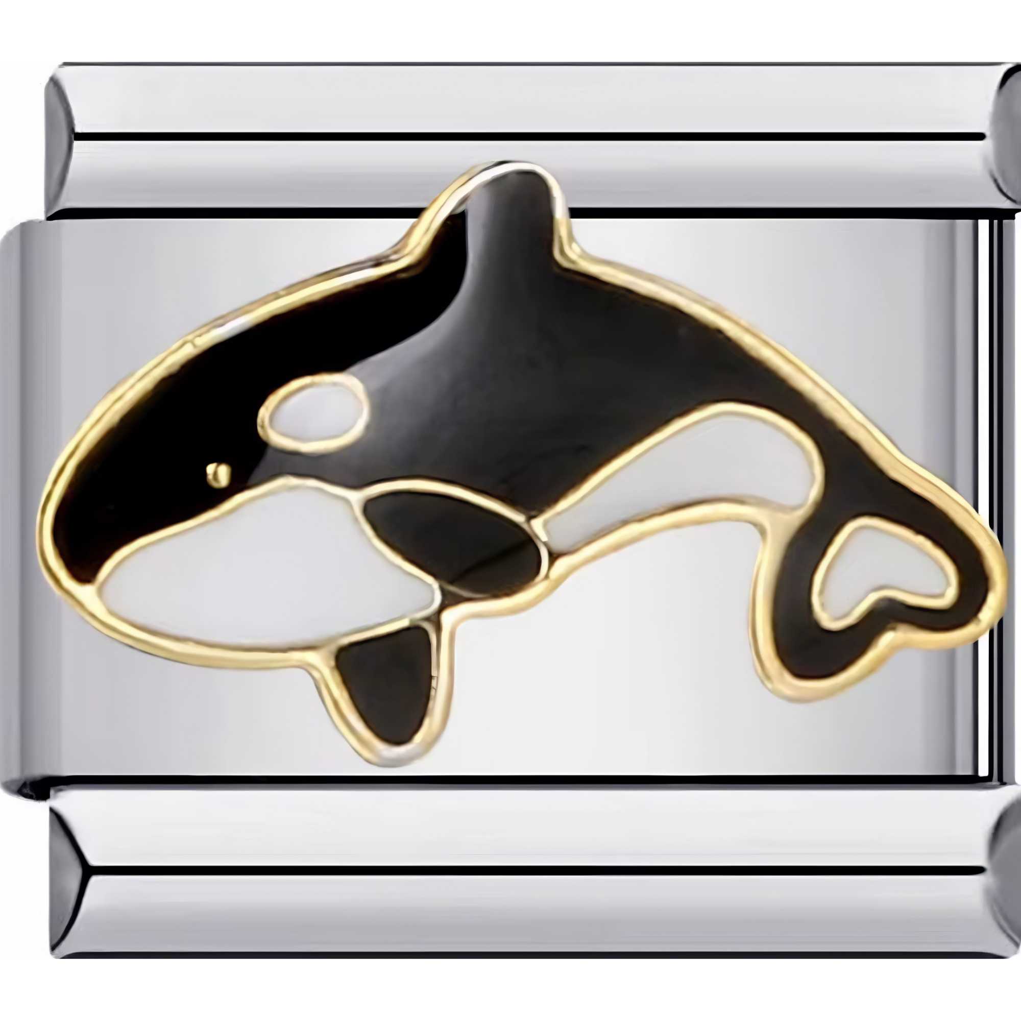 Killer Whale Charm