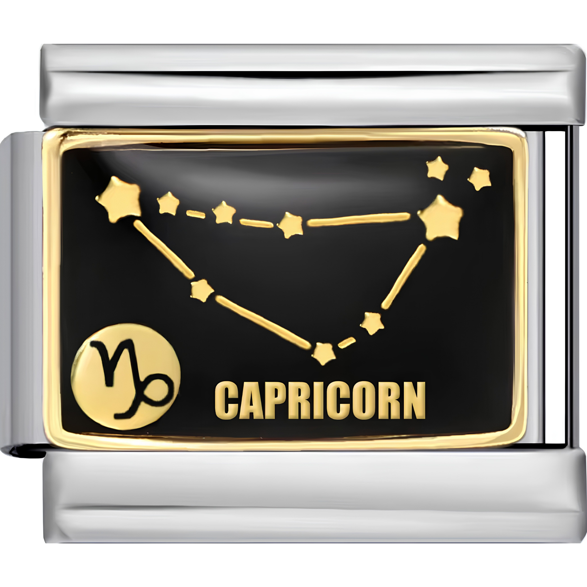 Astrology Sign Charms