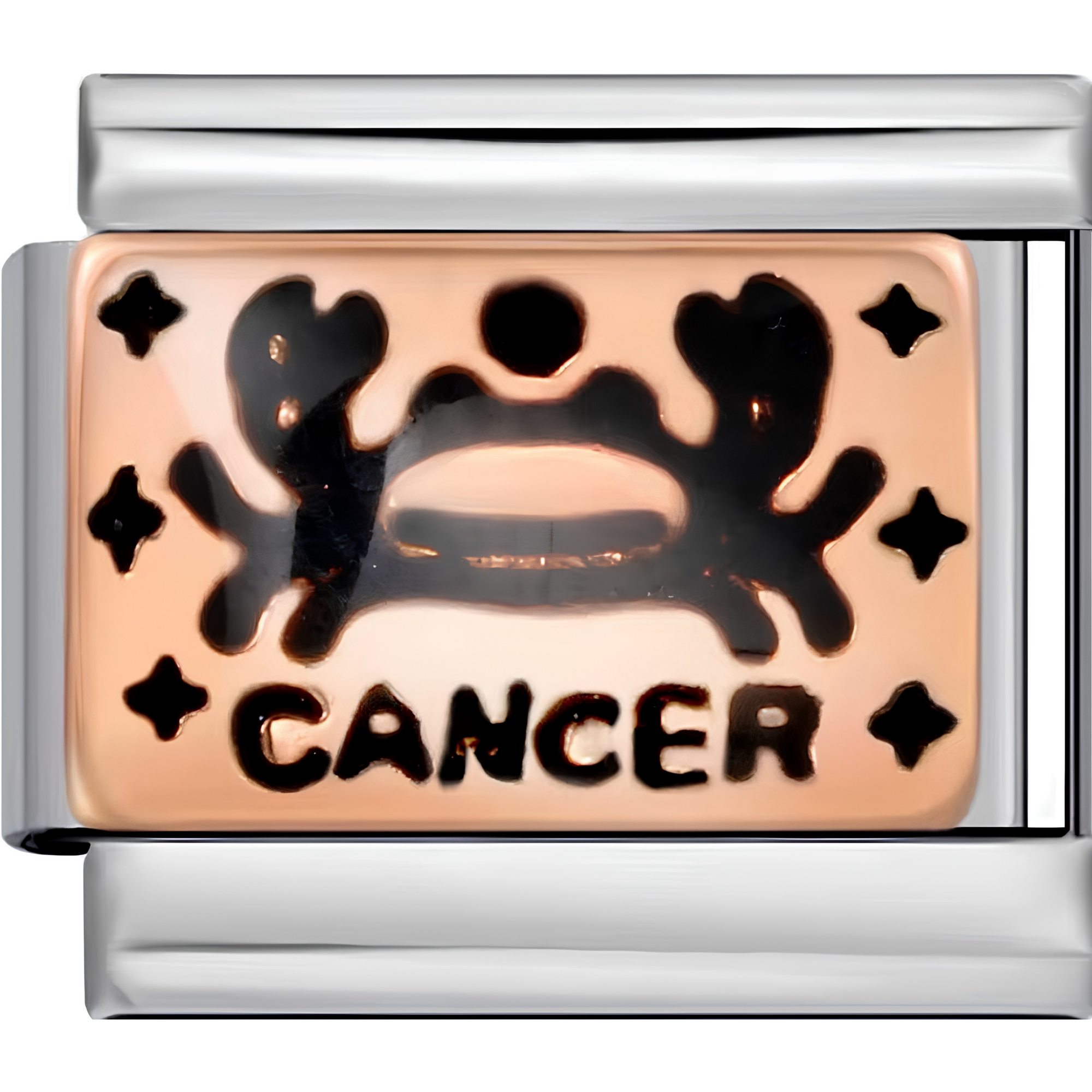 Astrology Sign Charms