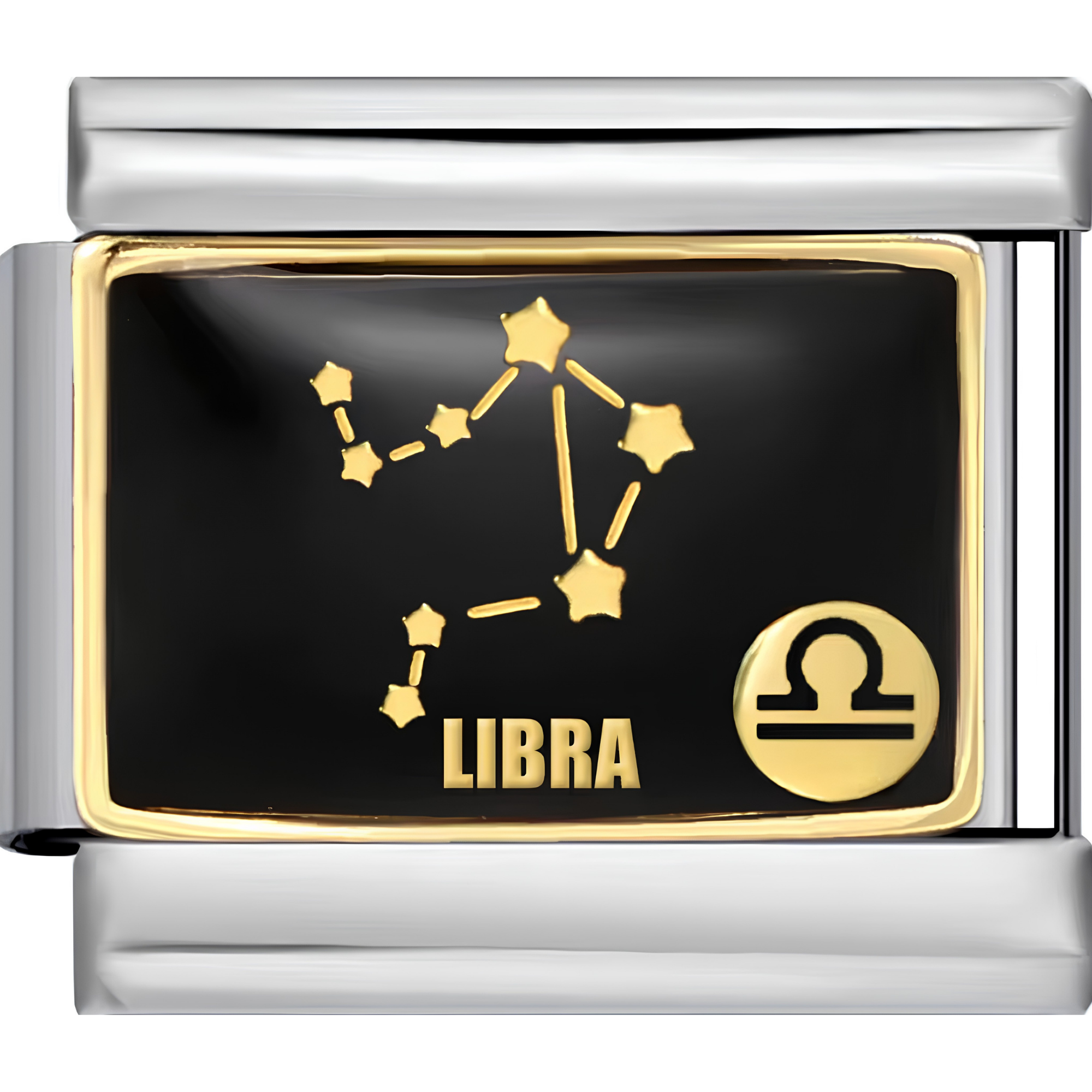 Astrology Sign Charms