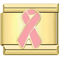 Breast Cancer Awareness Charms
