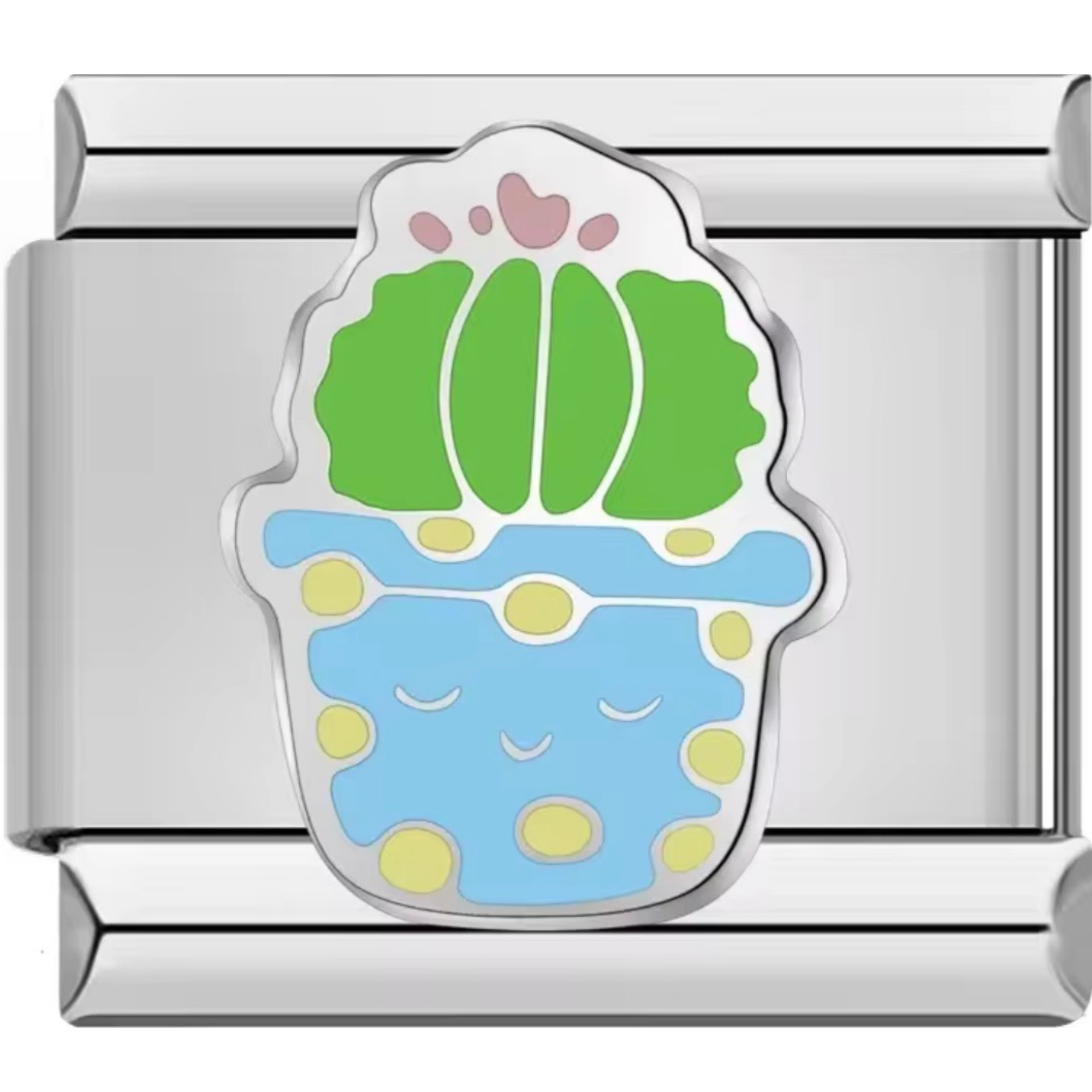 Cactus Charms