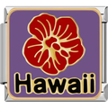 Purple Hawaii Charm