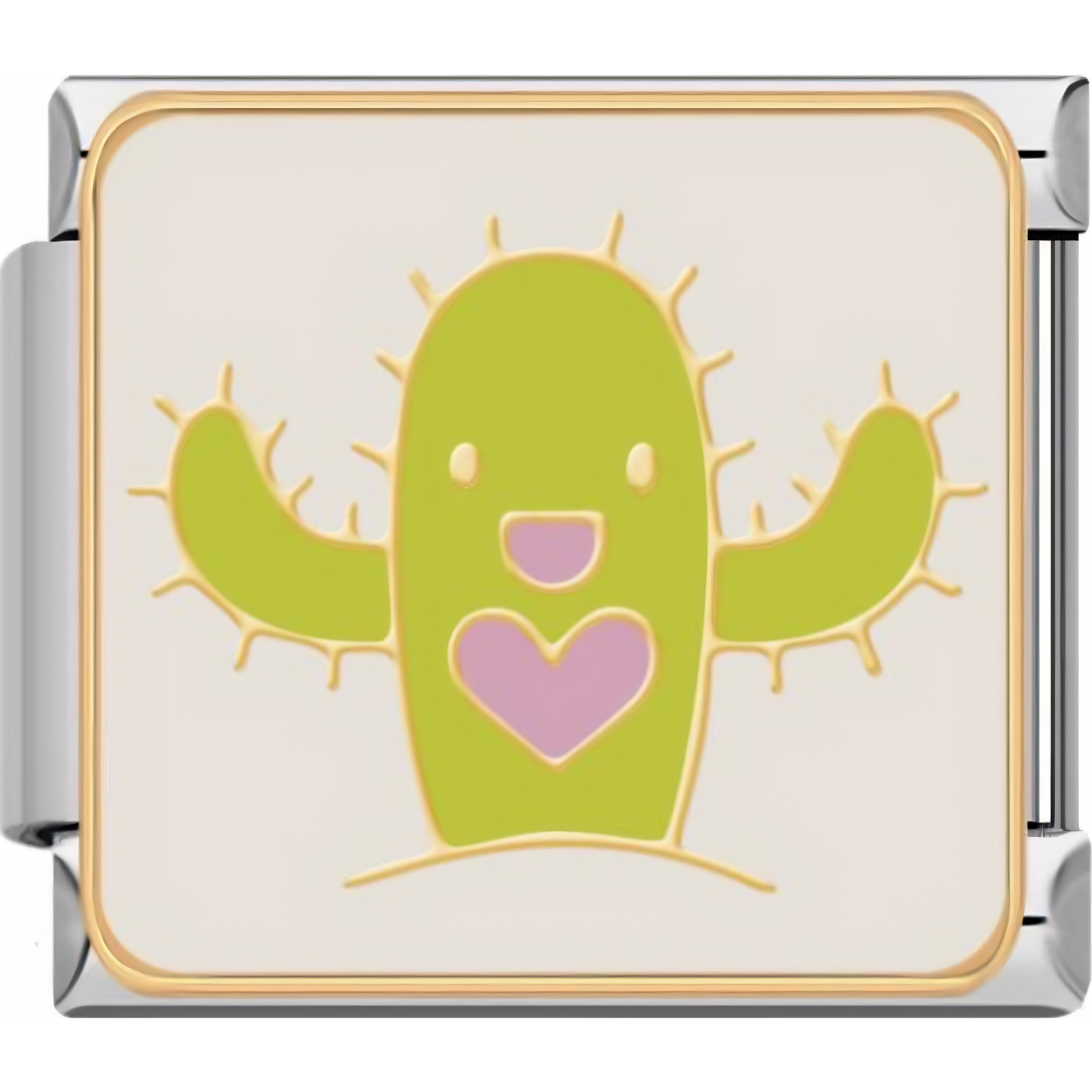 Cactus Charms