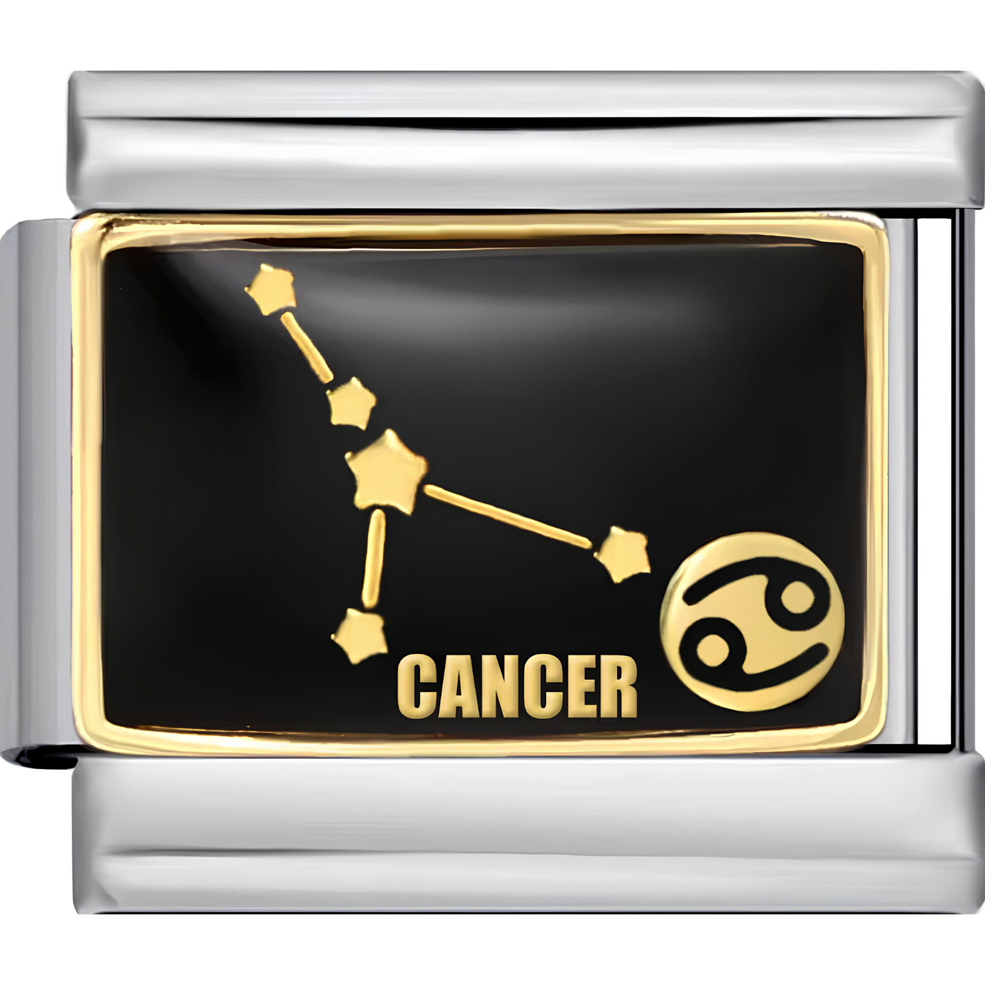 Astrology Sign Charms