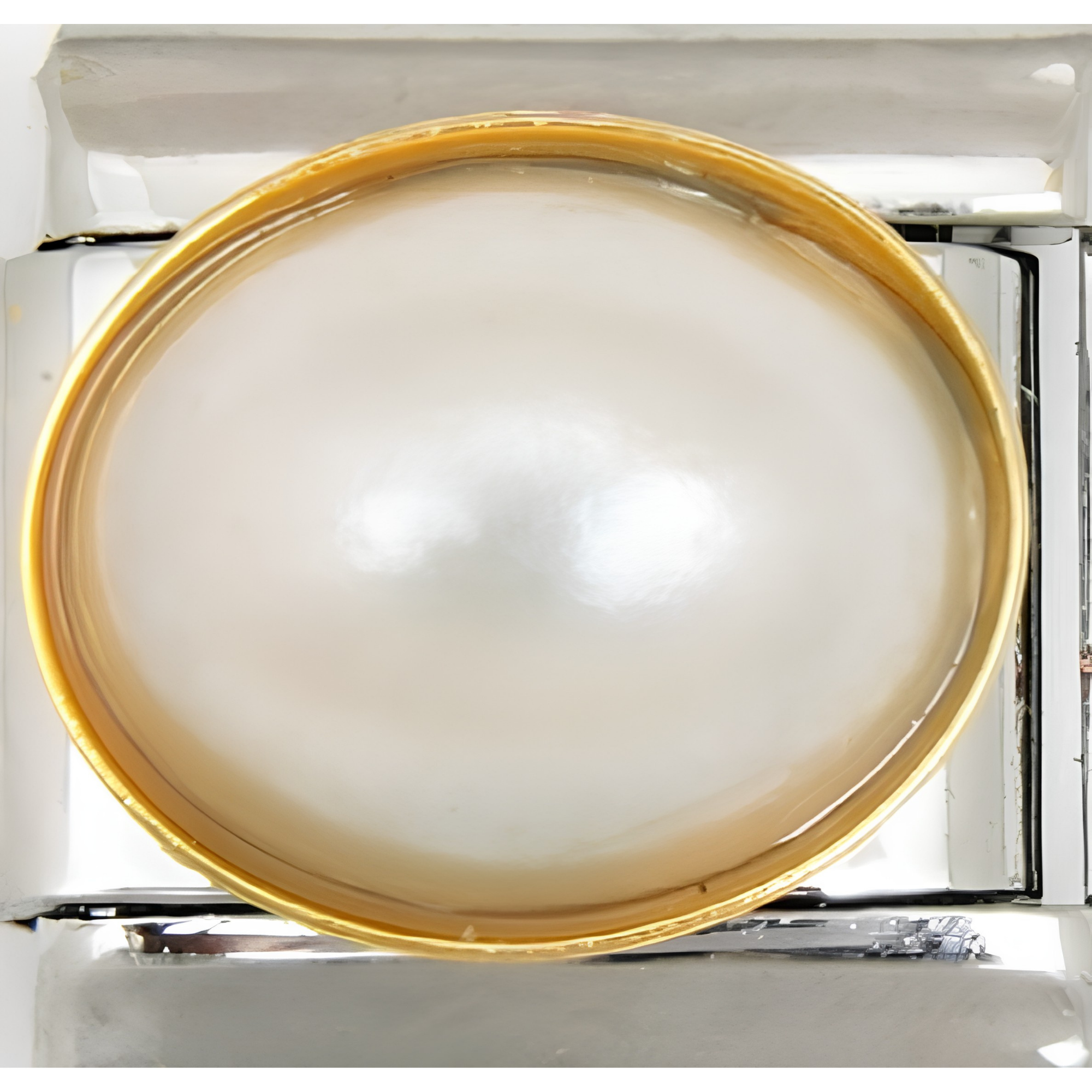 Pearl Charms
