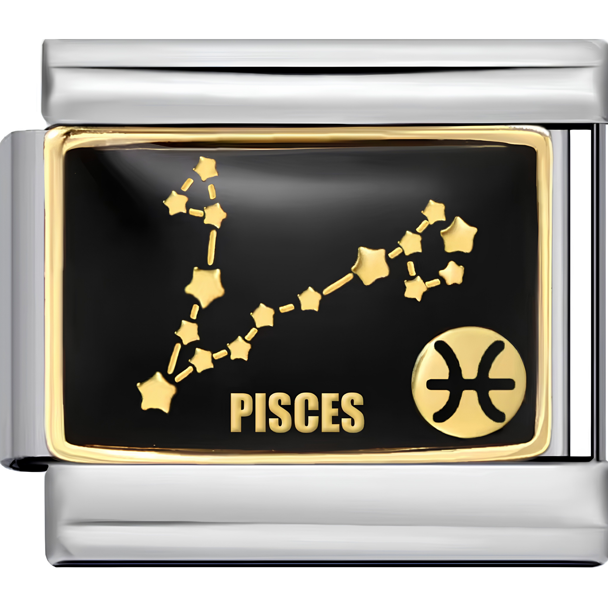 Astrology Sign Charms