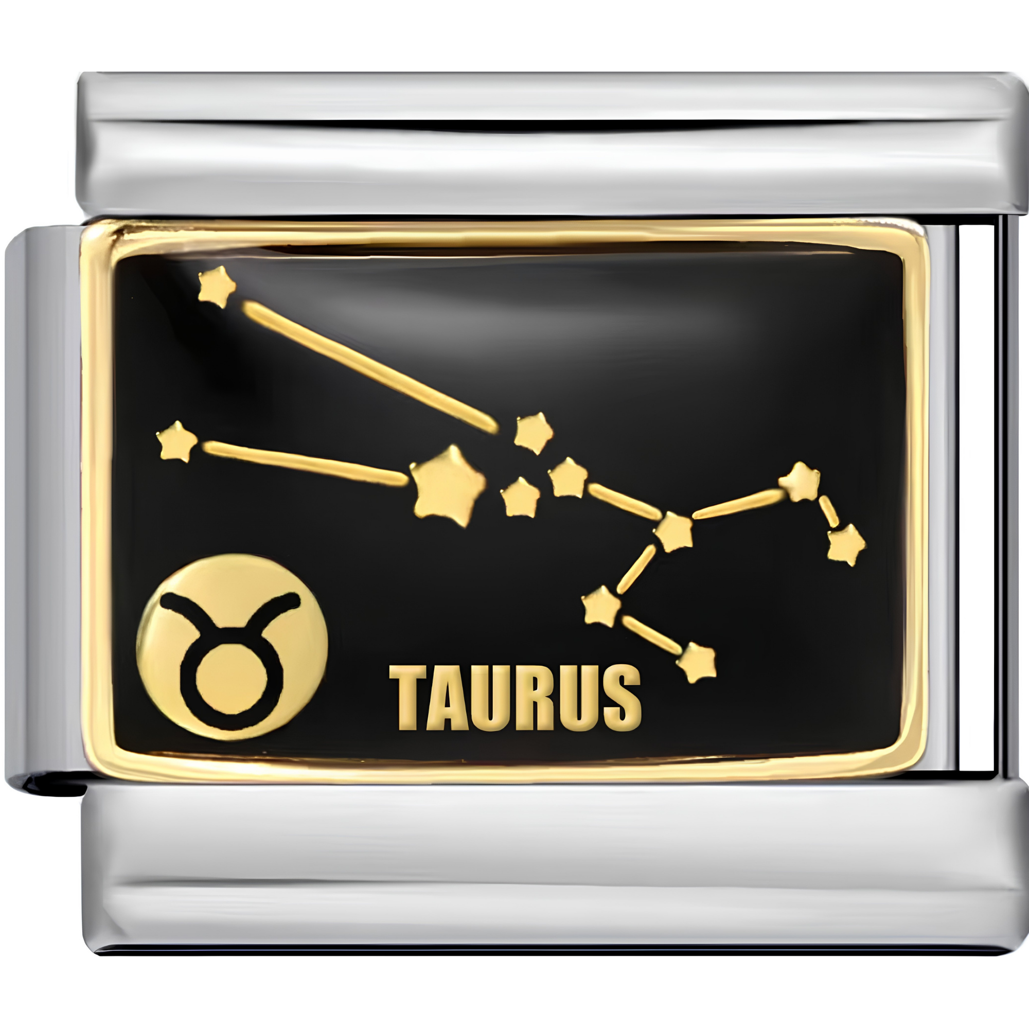 Astrology Sign Charms