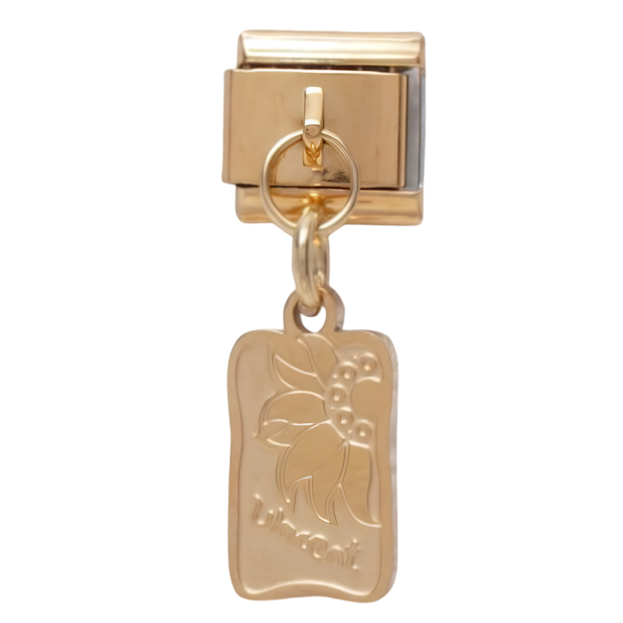 Gold/Silver Dangle Charms