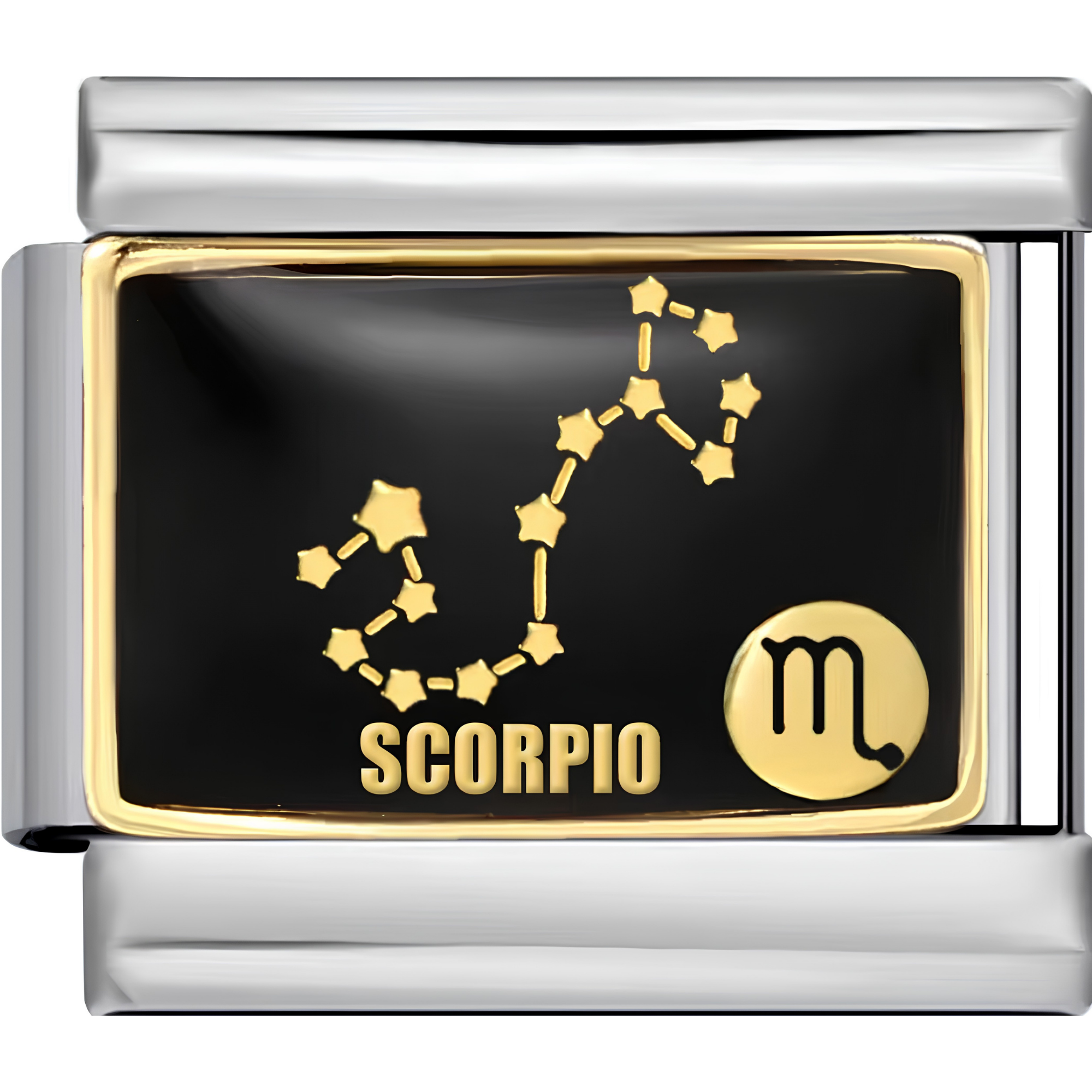 Astrology Sign Charms