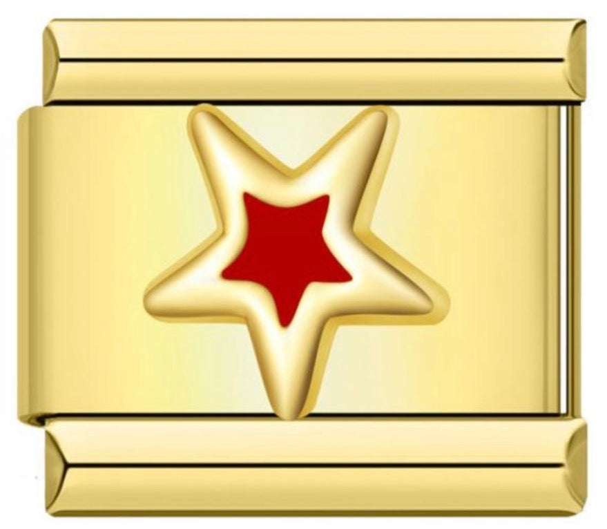 Star, Puppy, Paw Charms