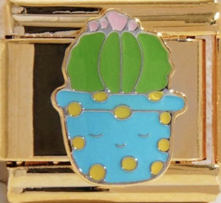 Cactus Charms