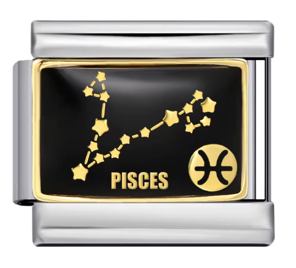 Astrology Sign Charms