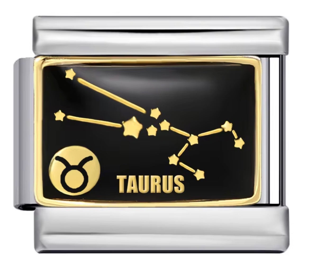 Astrology Sign Charms